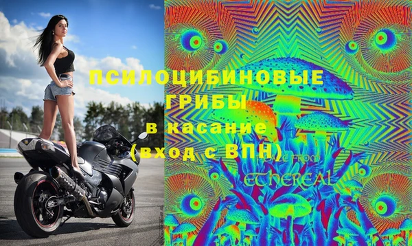 герыч Верея