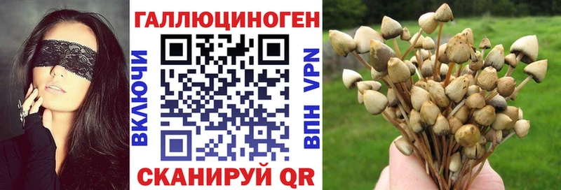 Псилоцибиновые грибы MAGIC MUSHROOMS  Горячеводский 